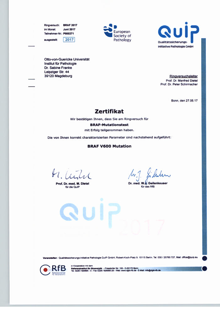 QuiP-Zertifikat Ringversuch BRAF V600 Mutation