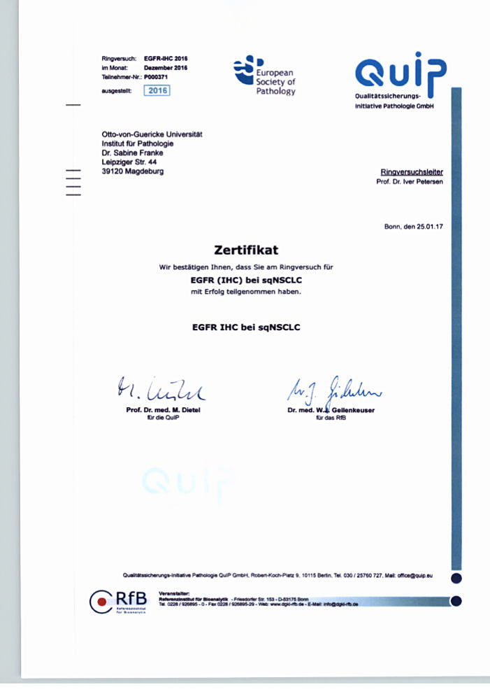 QuiP-Zertifikat Ringversuch EGFR Immunhistologie (sq-NSCLC)