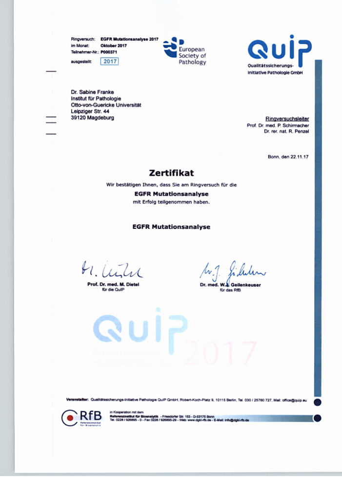 QuiP-Zertifikat Ringversuch EGFR Mutationsanalyse
