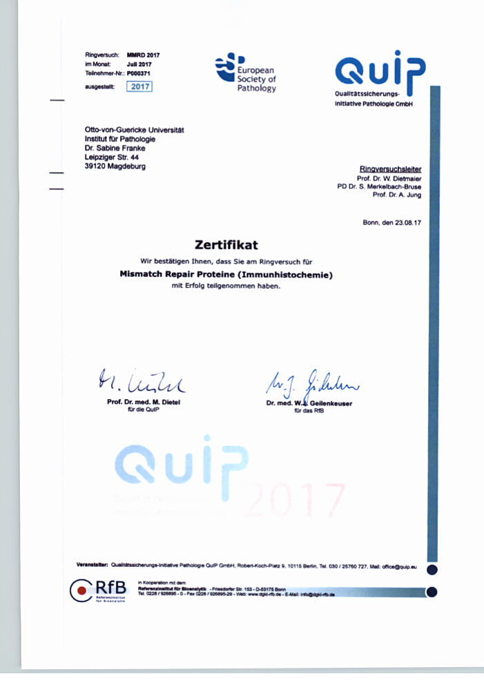 QuiP-Zertifikat Ringversuch Mismatch Repair Proteine Immunhistologie