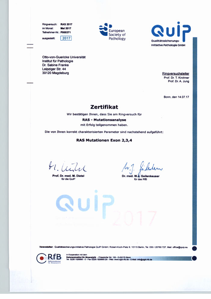 QuiP-Zertifikat Ringversuch RAS (Exone 2-4) Mutationsanalyse