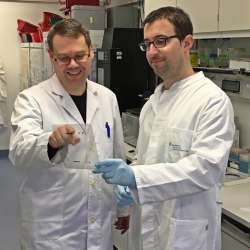 Schmitz Plaza-Sirvent